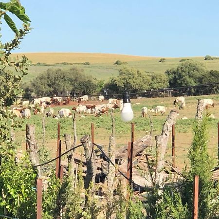 מדינה סידוניה Alojamiento Rural El Soldao מראה חיצוני תמונה
