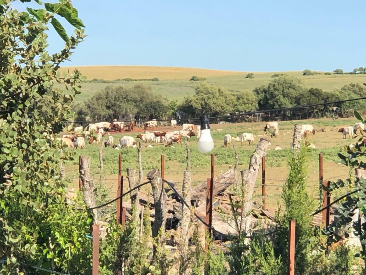 מדינה סידוניה Alojamiento Rural El Soldao מראה חיצוני תמונה